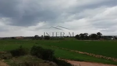 Residential Field In Liopetri, Famagusta (5839 Sq.m)