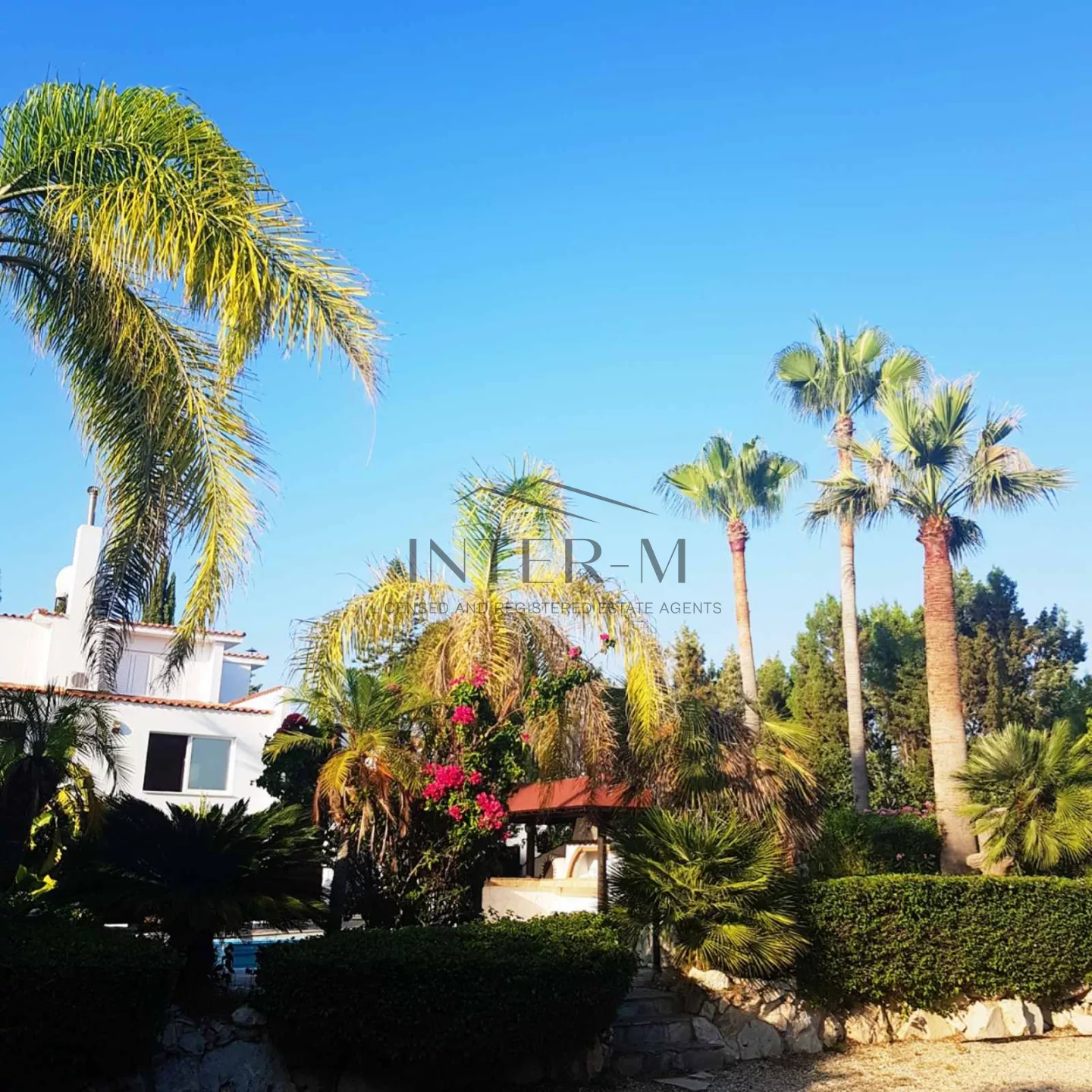 Villa For Sale In Paphos φωτογραφία 10