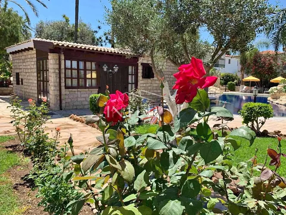 Luxury Studio For Rent In Anarita, Paphos, Cyprus(1 Bedroom) φωτογραφία 11