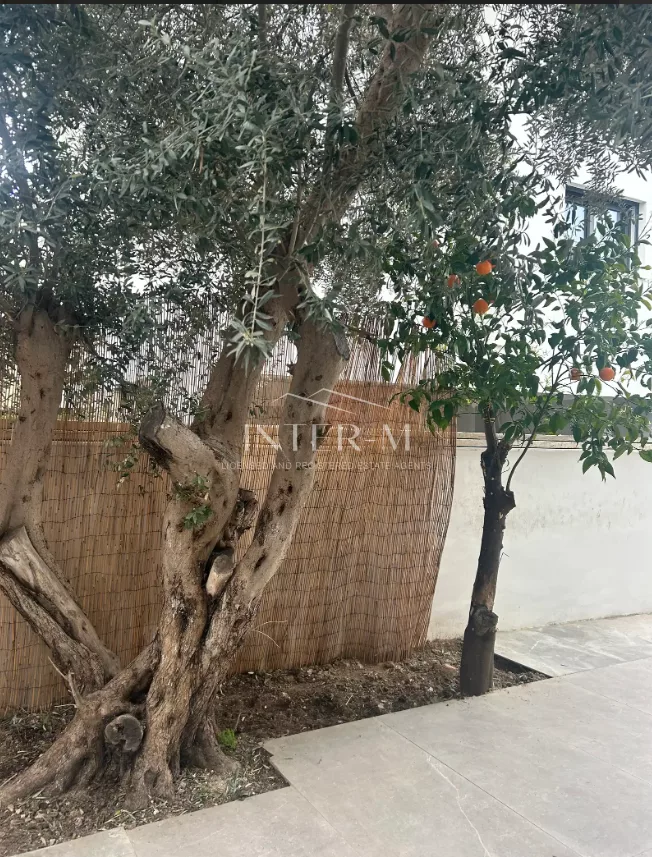 Modern 3-Bedroom Semi-Detached Home For Rent – Agios Nektarios, Limassol (3 Bedroom) φωτογραφία 12