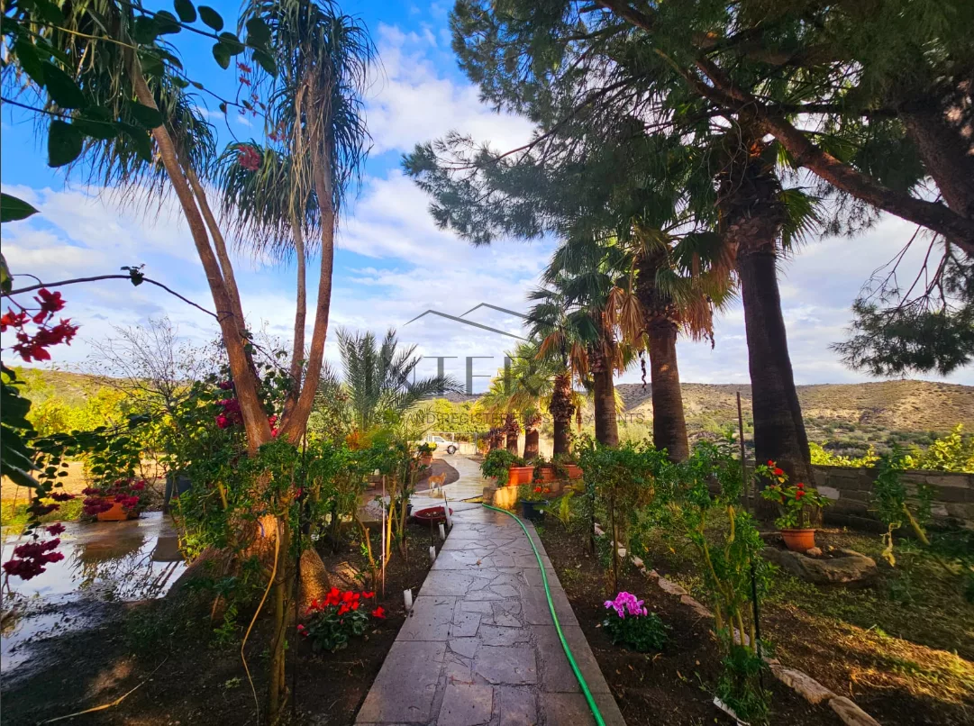 Amazing Land For Sale,In Kalavasos, Larnaca, Cyprus photo 21