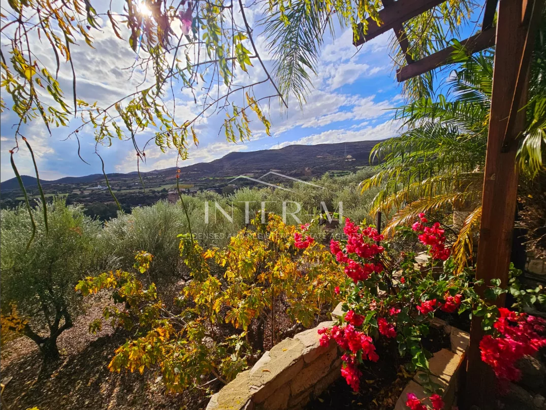 Amazing Land For Sale,In Kalavasos, Larnaca, Cyprus photo 25