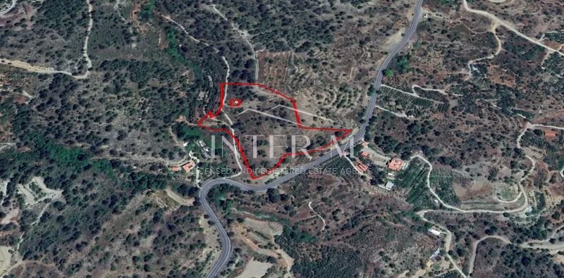Agricultural Land For Sale In Pelendri, Limassol  (19010 sq.m)