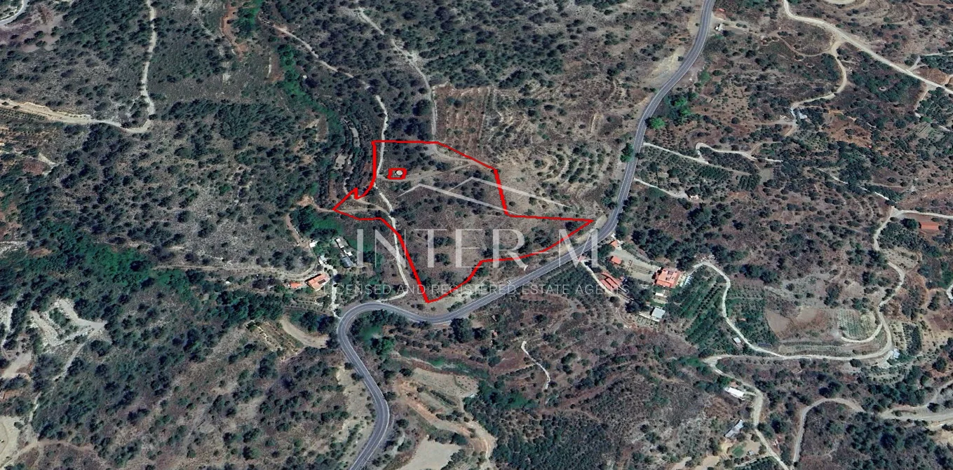 Agricultural Land For Sale In Pelendri, Limassol  (19010 sq.m)