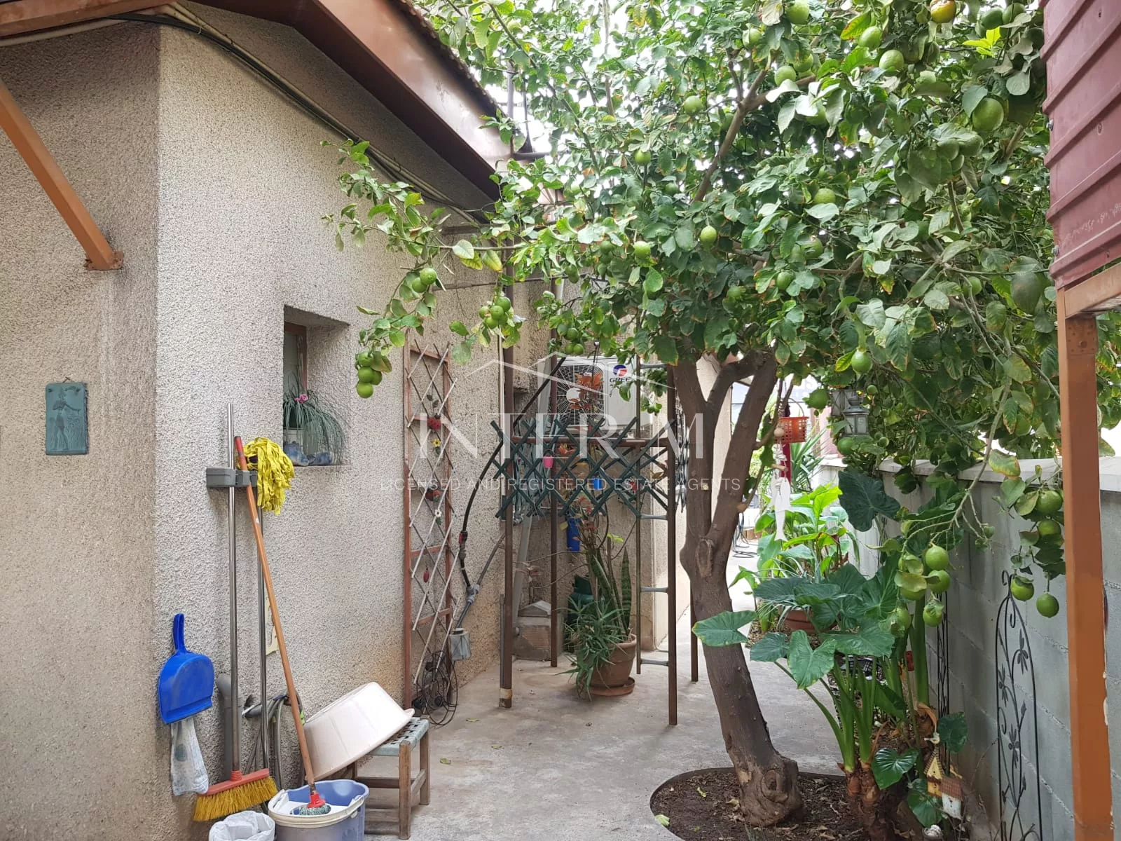 House On A Commercial Road In Mesa Geitonia (3 Bedroom) photo 5