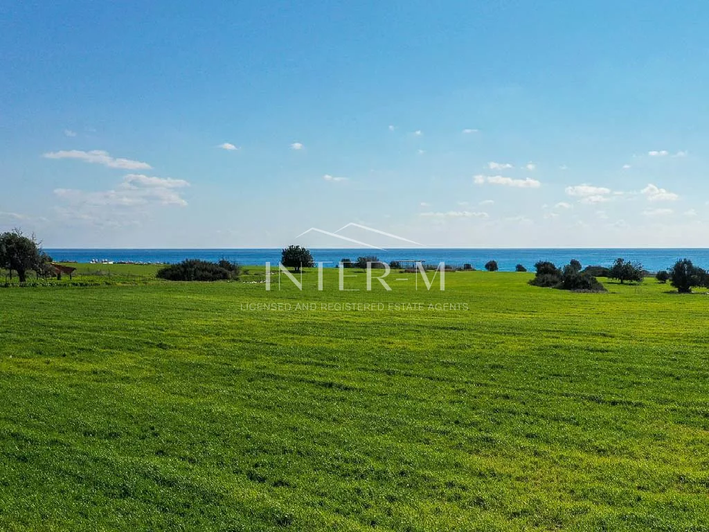 Big Field For Sale In Maroni, Near The Beach (26757 Sq.m) φωτογραφία 5