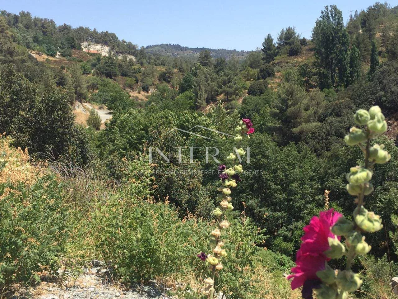3 Floor Detached House In Kyperounta (2 Bedroom) photo 12