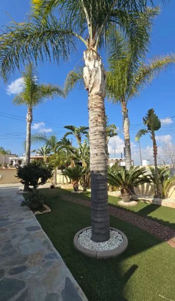 Elegant Detached Villa For Sale In Paliometocho, Nicosia, Cyprus(4 Bedrooms) photo 2