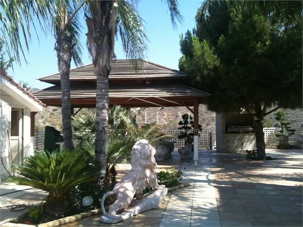 Amazing Villa For Sale In Kalo Chorio (5 Bedroom) φωτογραφία 15