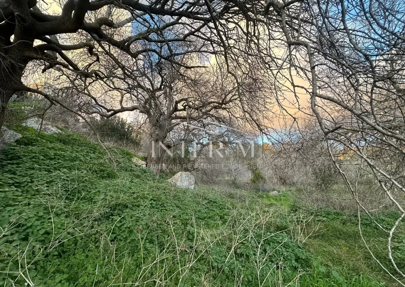 Residential Land For Sale In Tremithousa, Paphos (3387 Sq.m) φωτογραφία 5