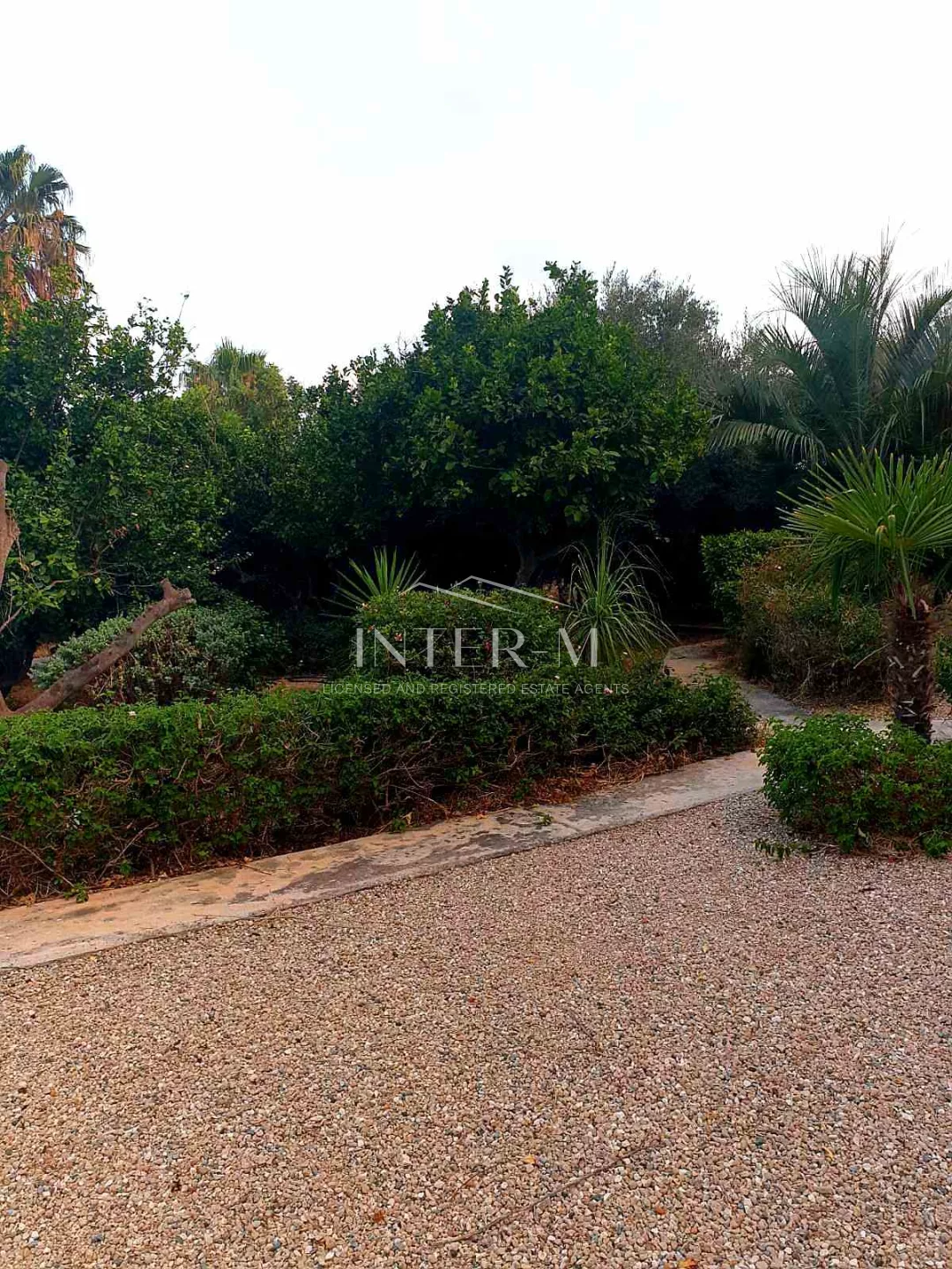 Villa For Sale In Paphos φωτογραφία 8