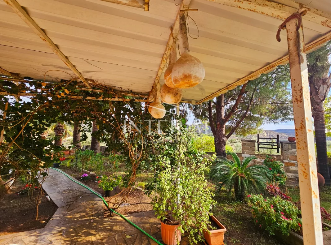 Amazing Land For Sale,In Kalavasos, Larnaca, Cyprus φωτογραφία 23