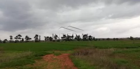 Residential Field In Liopetri, Famagusta (11281 sq.m)
