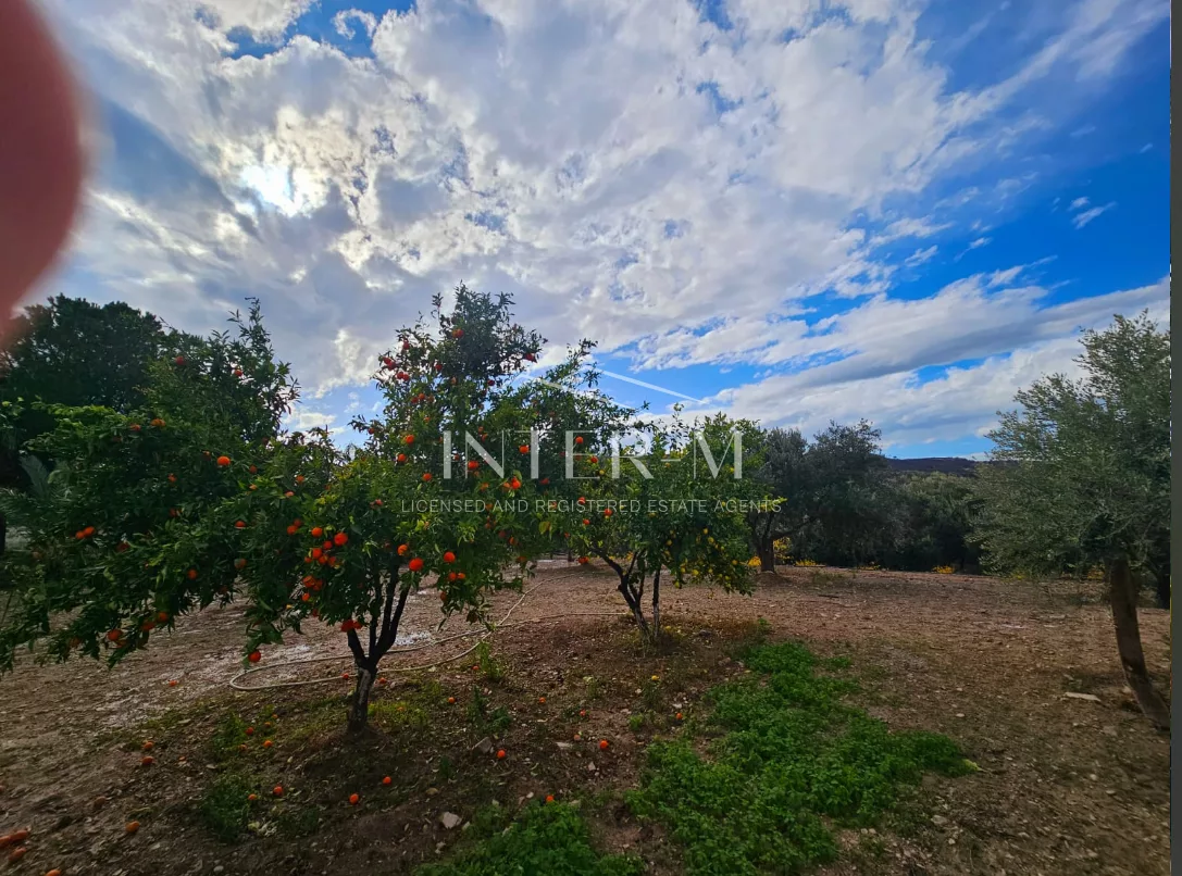 Amazing Land For Sale,In Kalavasos, Larnaca, Cyprus φωτογραφία 17