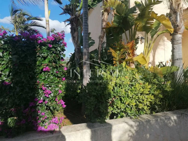 Luxury Villa For Rent In Erimi Village, Limassol  (4 Bedroom) photo 3