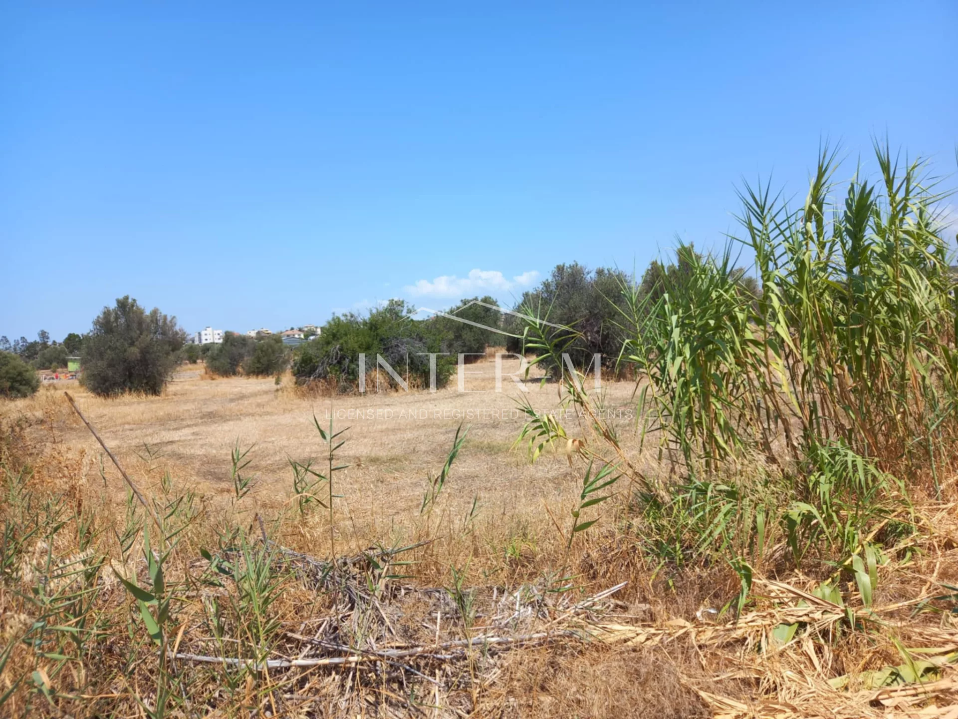 Plot For Sale In Episkopi Limassol (561 Sq.m) photo 3