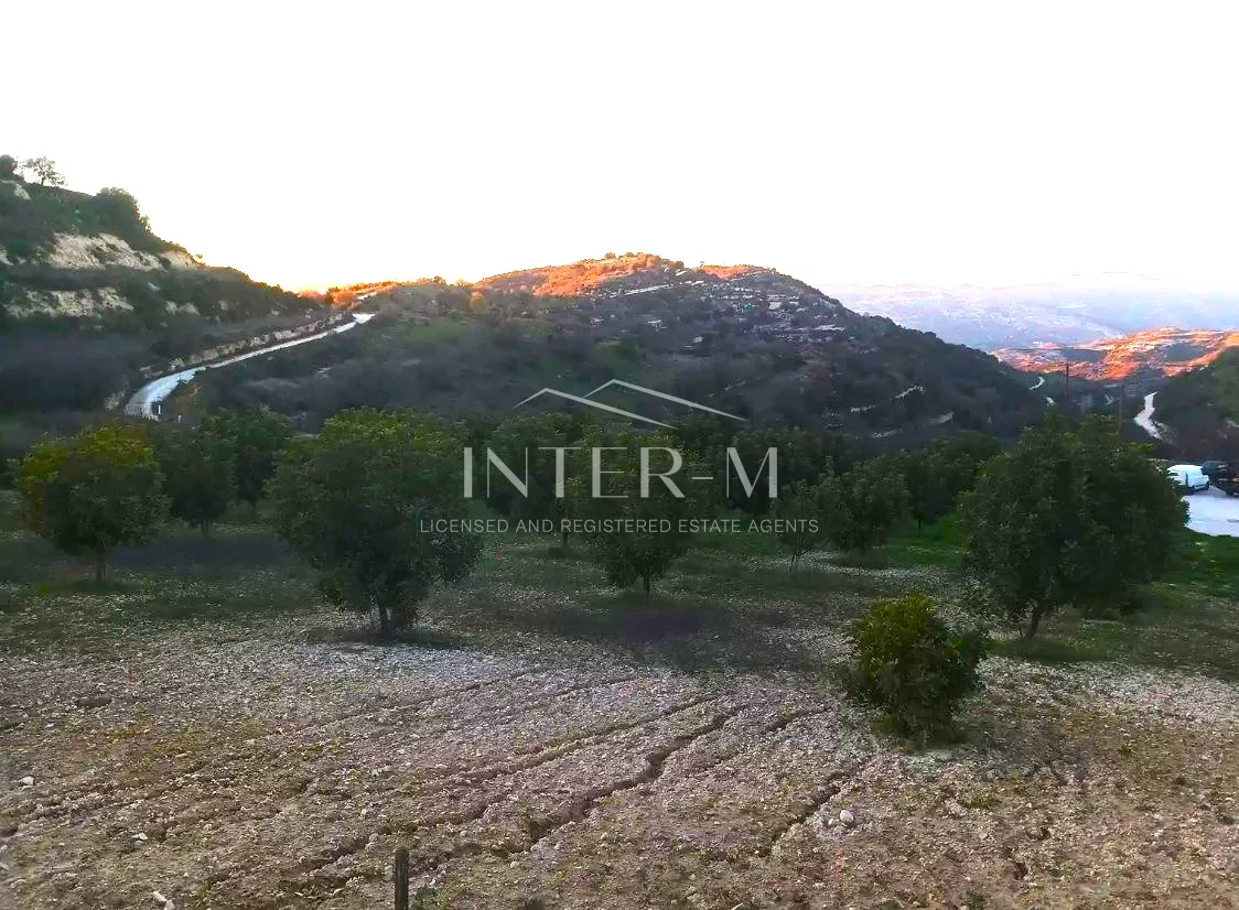Residential Land For Sale In Dora, Limassol, Cyprus(5686 Sq.m) φωτογραφία 4