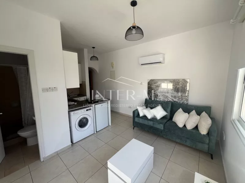 Renovated One-Bedrooms Apartment (1 Bedroom)