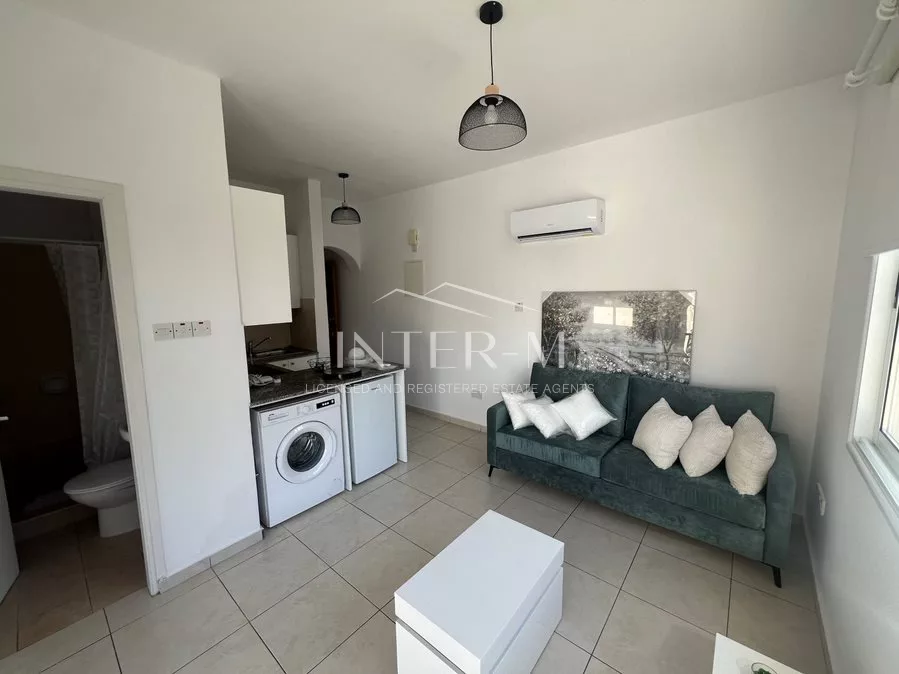 Renovated One-Bedrooms Apartment (1 Bedroom)