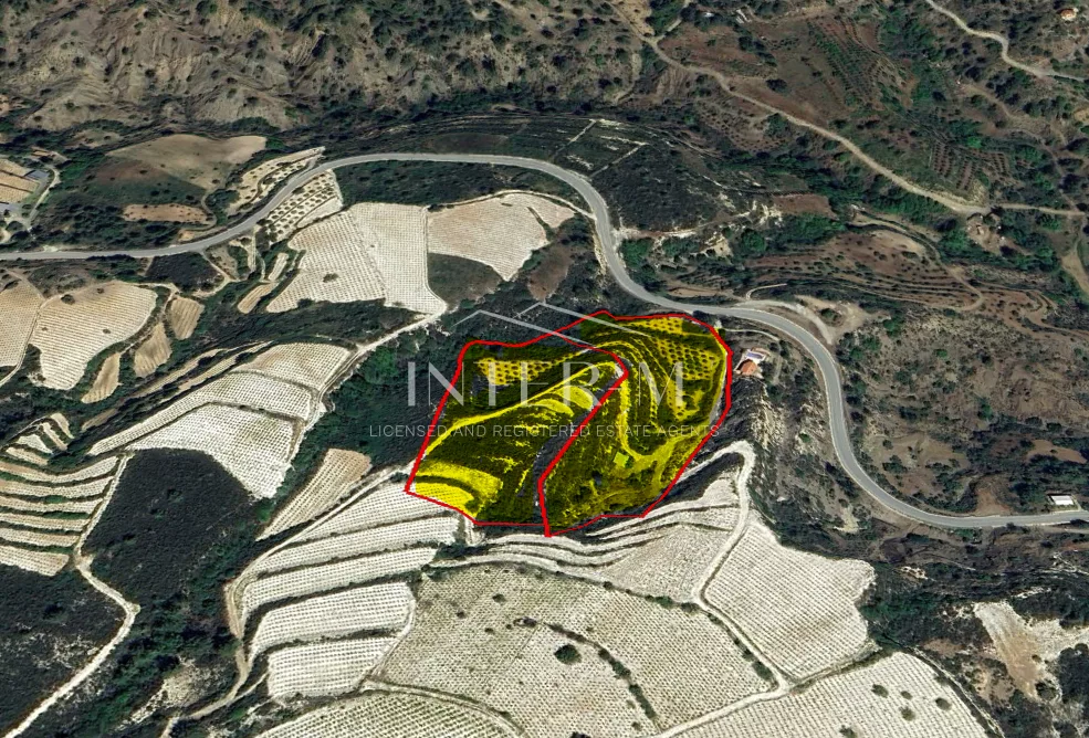 Two Connected Agricultural Lands For Sale In Agios Mamas, Limassol, Cyprus(28763 Sq.m)