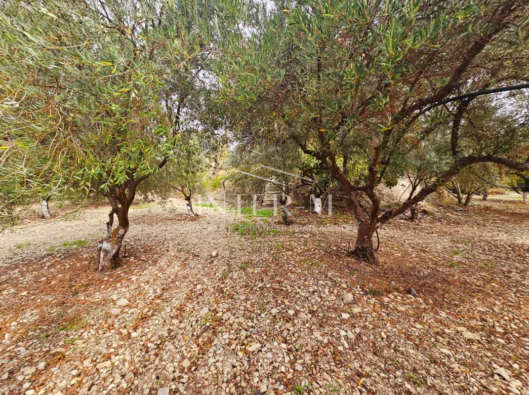 Amazing Land For Sale,In Kalavasos, Larnaca, Cyprus photo 29
