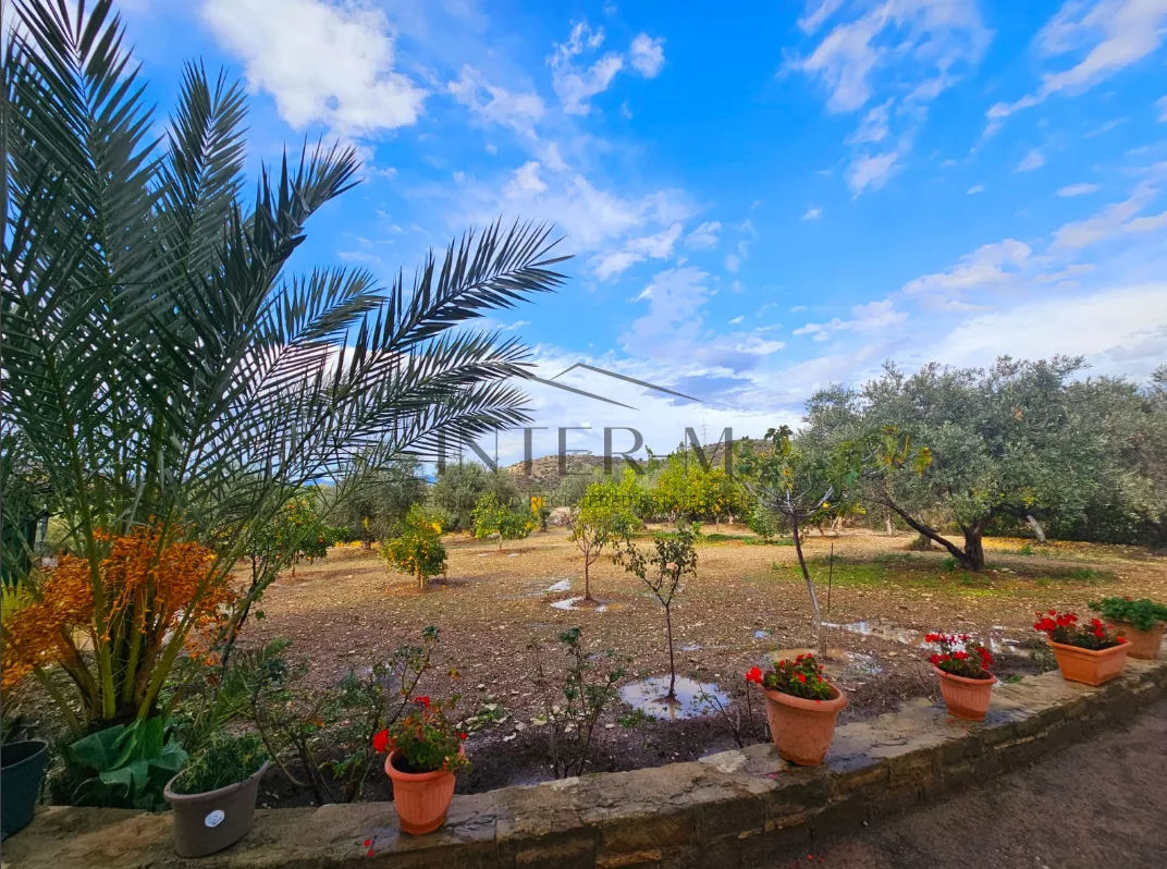 Amazing Land For Sale,In Kalavasos, Larnaca, Cyprus photo 18