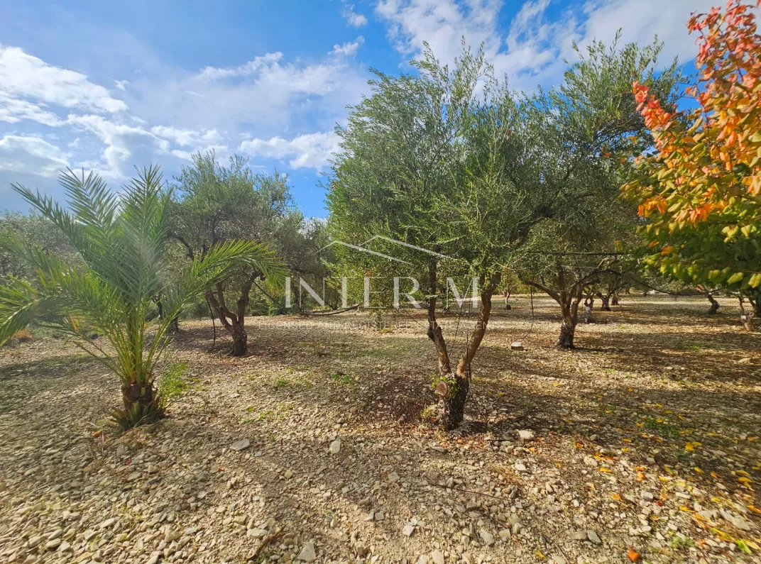 Amazing Land For Sale,In Kalavasos, Larnaca, Cyprus photo 31