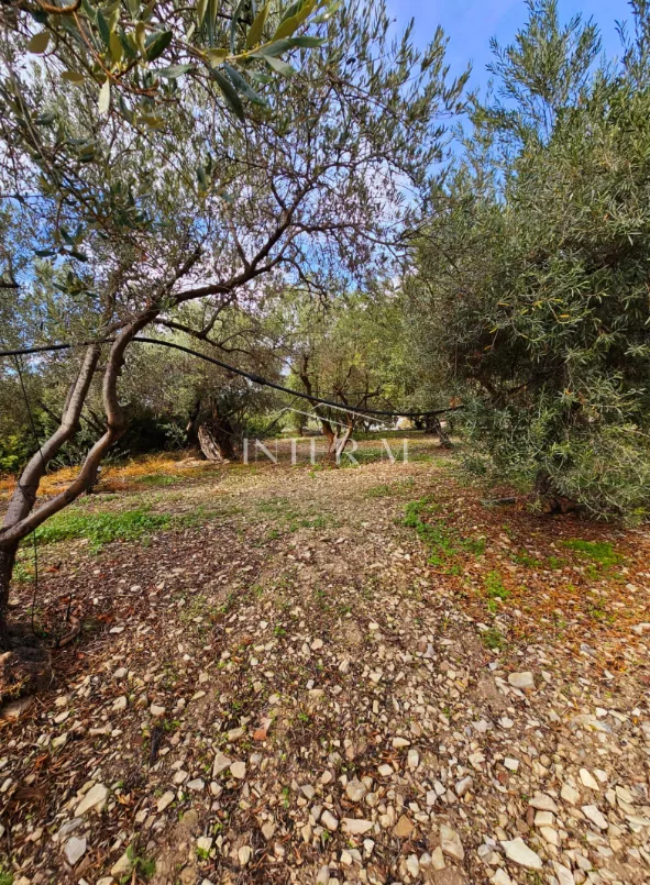 Amazing Land For Sale,In Kalavasos, Larnaca, Cyprus φωτογραφία 10