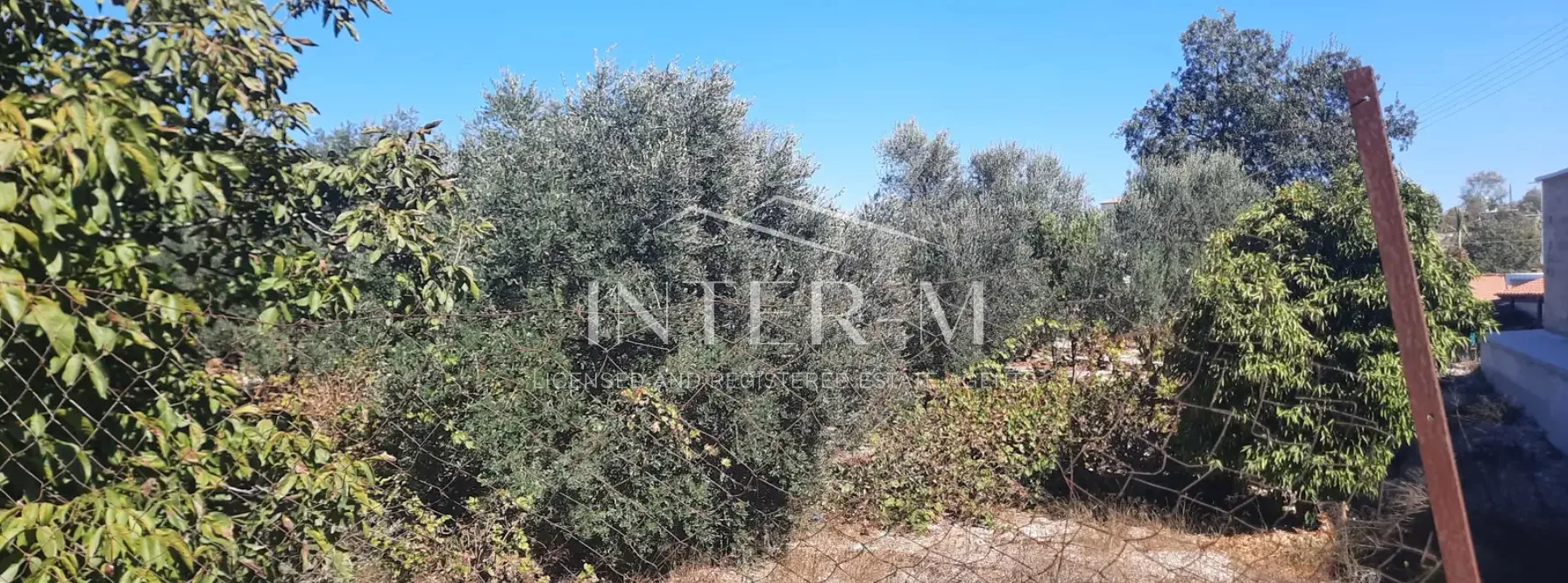 Residential Land For Sale In Tsada, Paphos, Cyprus(2054 Sq.m) photo 2