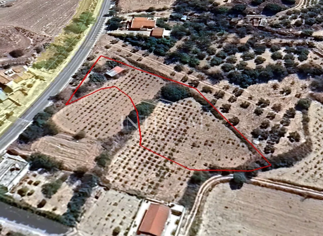 Residential Land For Sale In Letymbou, Paphos, Cyprus(2,536 Sq.m) photo 9