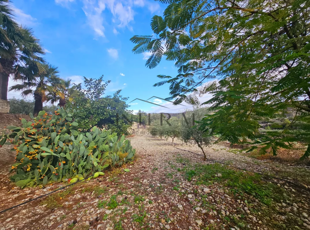 Amazing Land For Sale,In Kalavasos, Larnaca, Cyprus photo 8