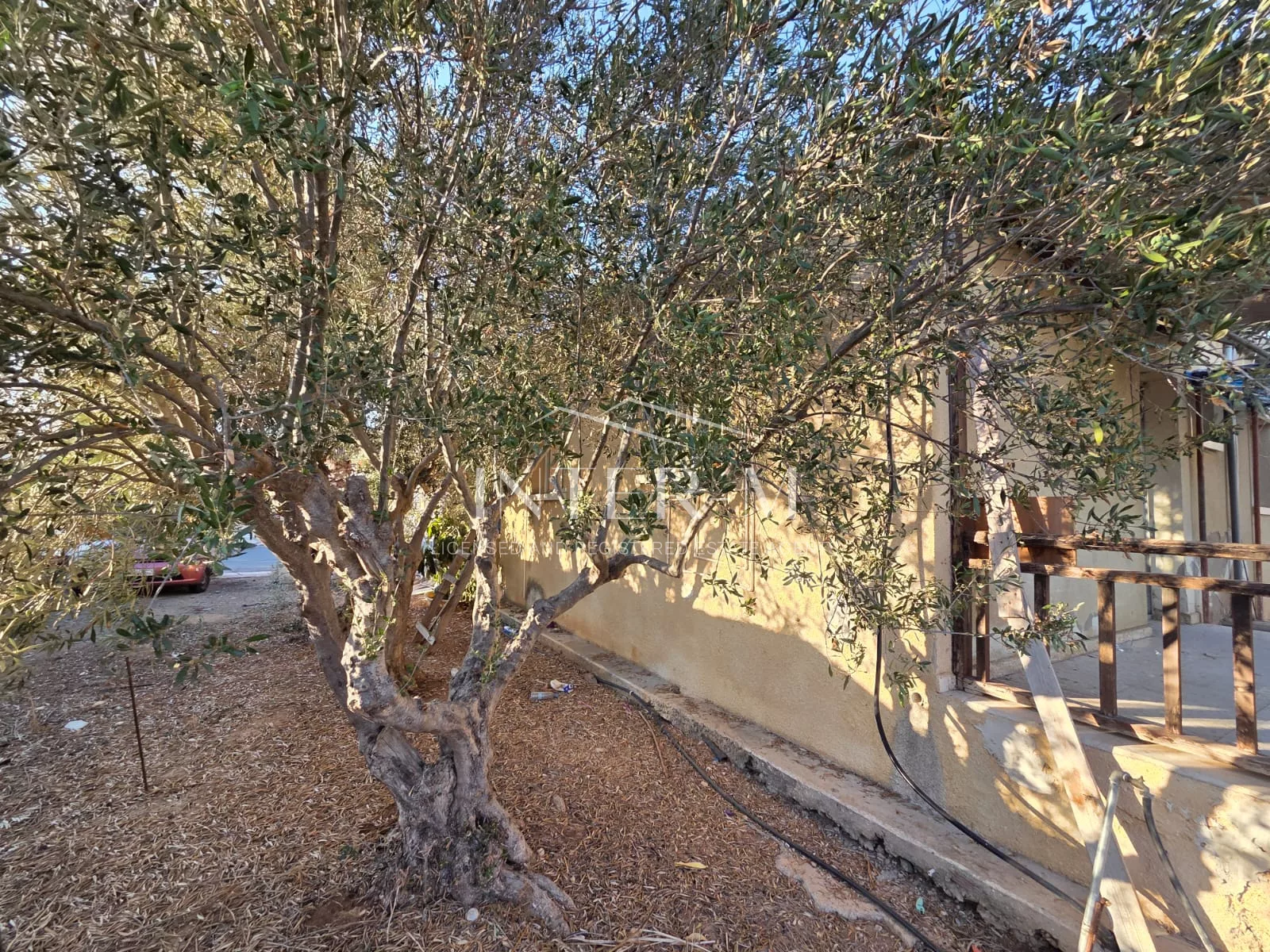 Residential Plot With Existing Bungalow For Sale In Chloraka, Paphos, Cyprus(650 Sq.m) φωτογραφία 17