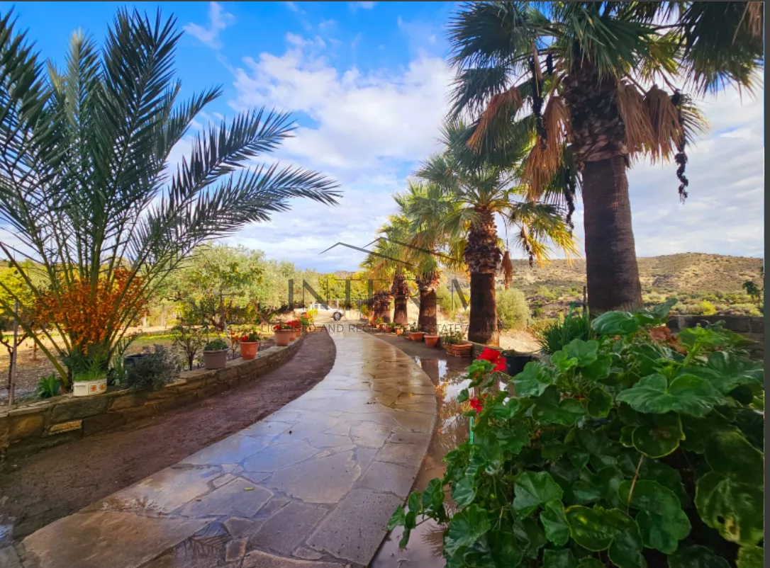 Amazing Land For Sale,In Kalavasos, Larnaca, Cyprus