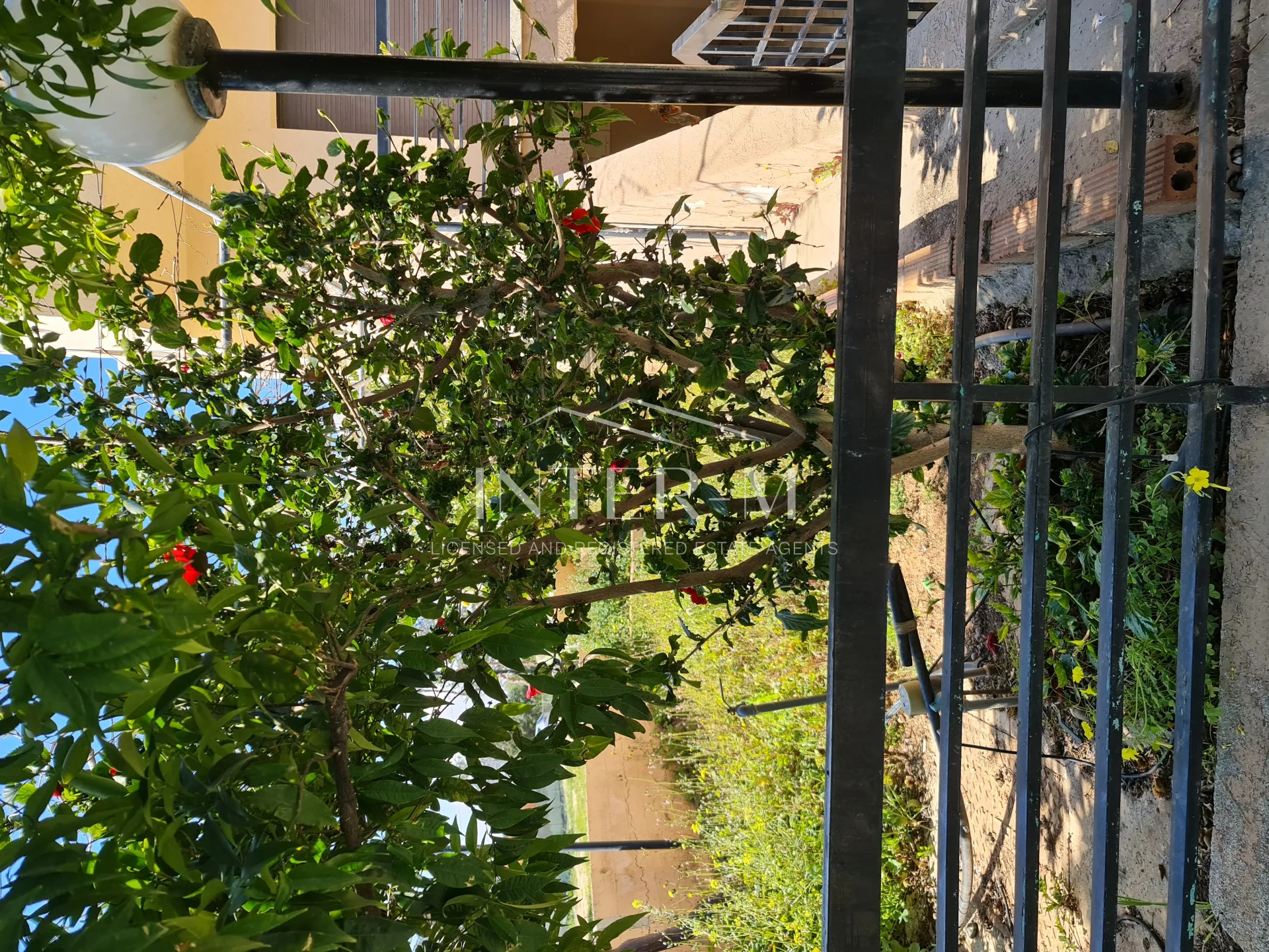 Villa In Agios Athanasios For Rent  (4 Bedroom) φωτογραφία 21
