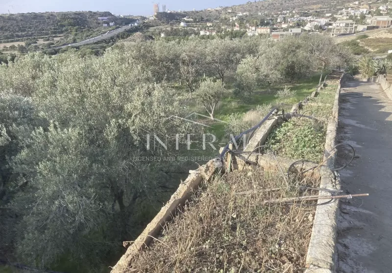 Beautiful Plot In Agios Tichonas 5000 Sq. M. photo 4