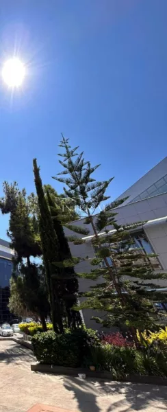 Modern Office In The Center  For Rent,Agia Zoni,Limassol photo 2