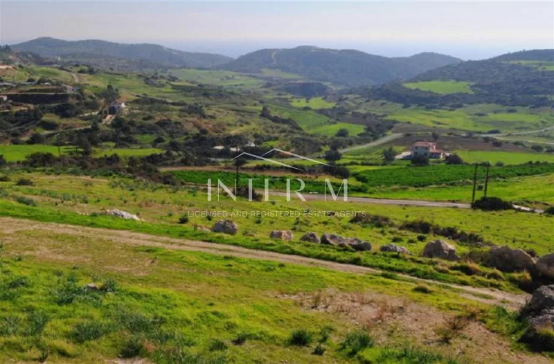 Plot In Pareklisia  (14100 sq.m) φωτογραφία 3
