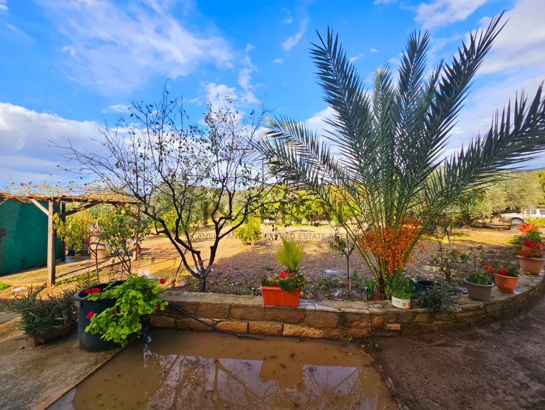 Amazing Land For Sale,In Kalavasos, Larnaca, Cyprus photo 19