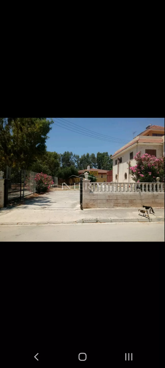 House Castle For Sale In Zakaki (4 Bedroom) photo 17