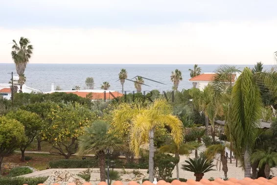 Villa For Sale In Paphos φωτογραφία 20