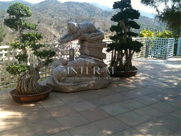Amazing Villa For Sale In Kalo Chorio (5 Bedroom) φωτογραφία 12