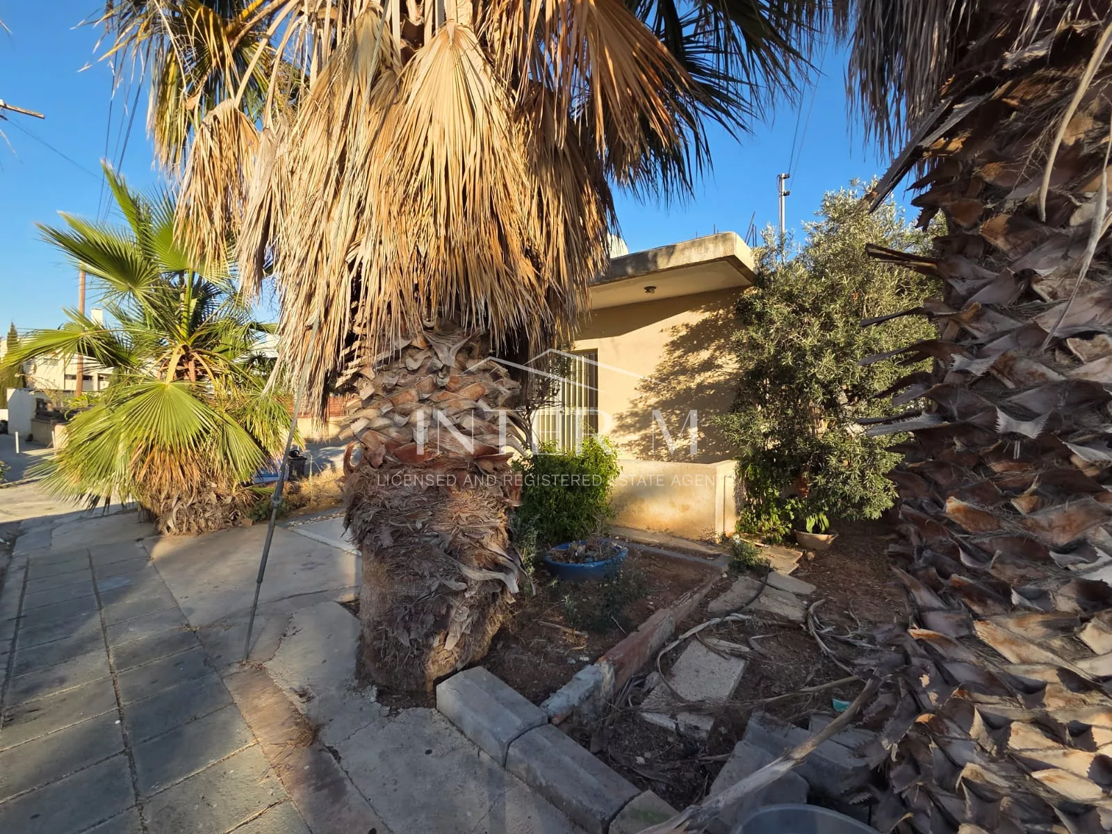 Unique 2-Bedroom Bungalow For Sale In Chloraka, Paphos, Cyprus photo 9