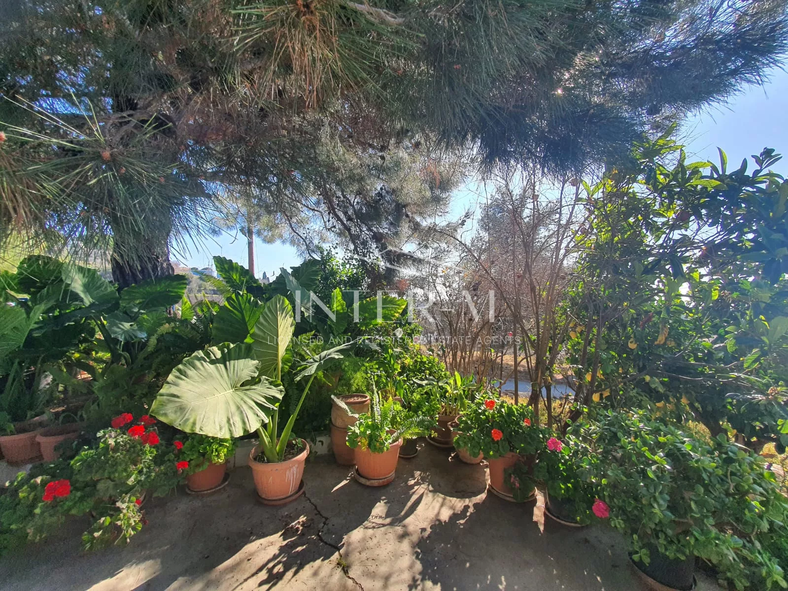 Residential Land And Small House For Sale In Pachna (2 Bedroom) φωτογραφία 53