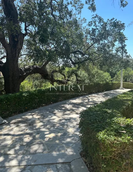 Residential Land For Sale In Tremithousa, Paphos (3387 Sq.m) φωτογραφία 4