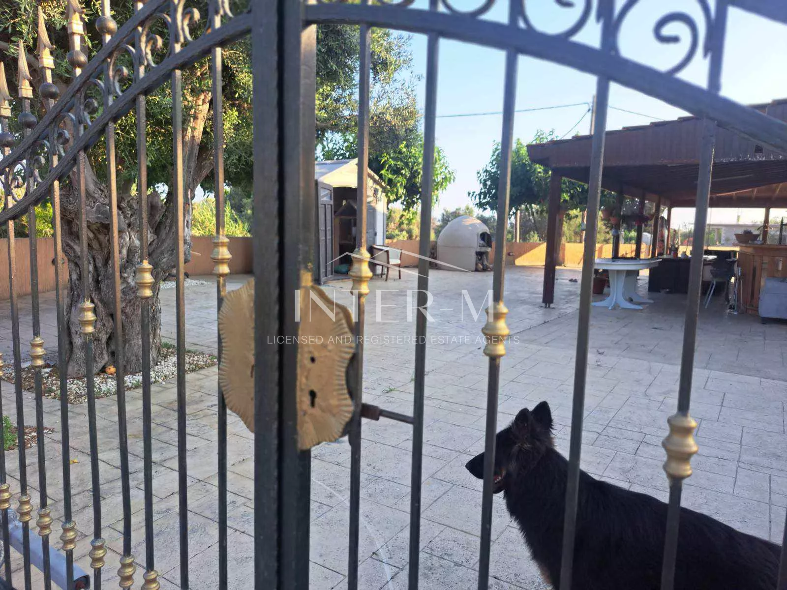 Luxurious Villa For Rent In Kolossi, Limassol (4 Bedroom)