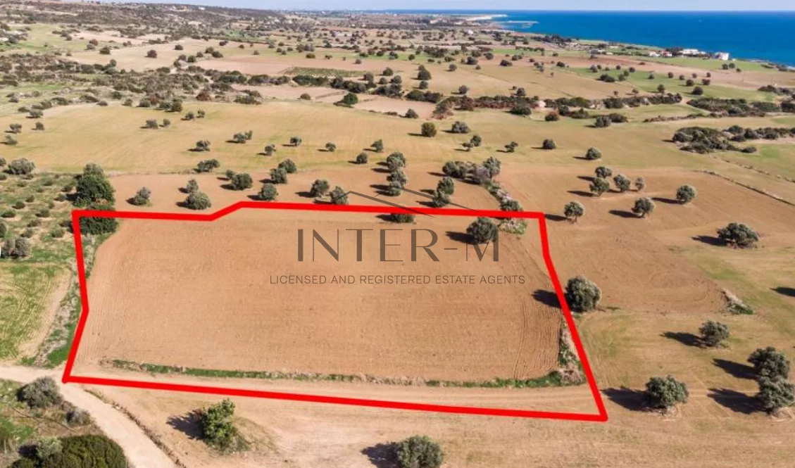 Prime Tourist Plot For Sale In Agios Theodoros, Larnaca, Cyprus  (7024 sq.m)