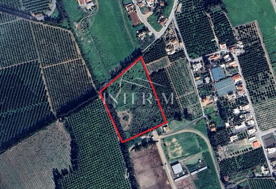 Land For Sale In Asomatos, Limassol, Cyprus (21405 Sq.m)