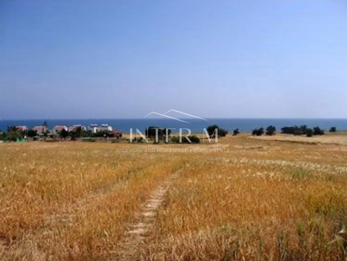 Residential Plot For Sale In Maroni, Larnaca, Cyprus(6509 Sq.m) φωτογραφία 1