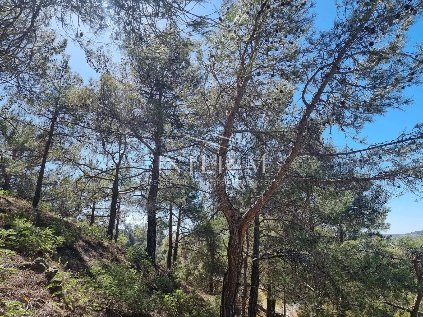 Prime Industrial Plot For Sale In Limassol, Moniatis (19733 sq.m) photo 7