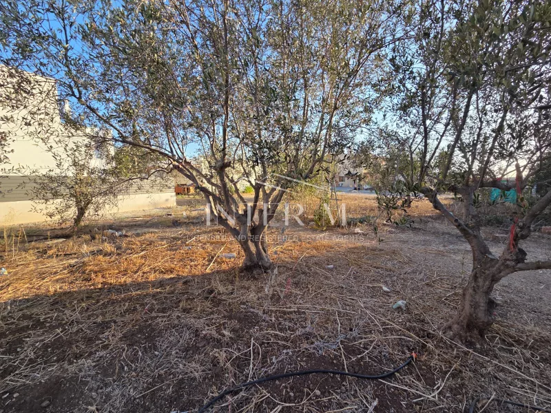 Residential Plot With Existing Bungalow For Sale In Chloraka, Paphos, Cyprus(650 Sq.m) φωτογραφία 3